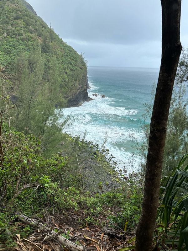 Coastal Cliff Overlooking Ocean Waves