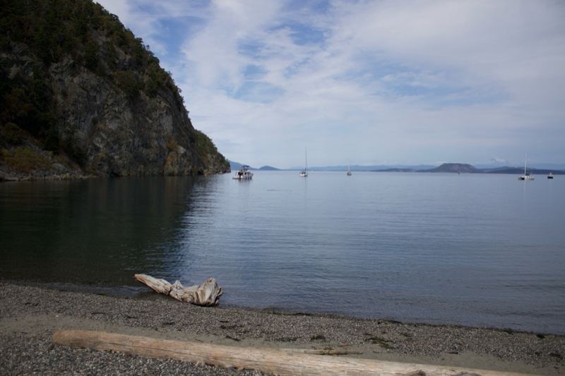 Coastal Bay With Rocky Cliff And Driftwood