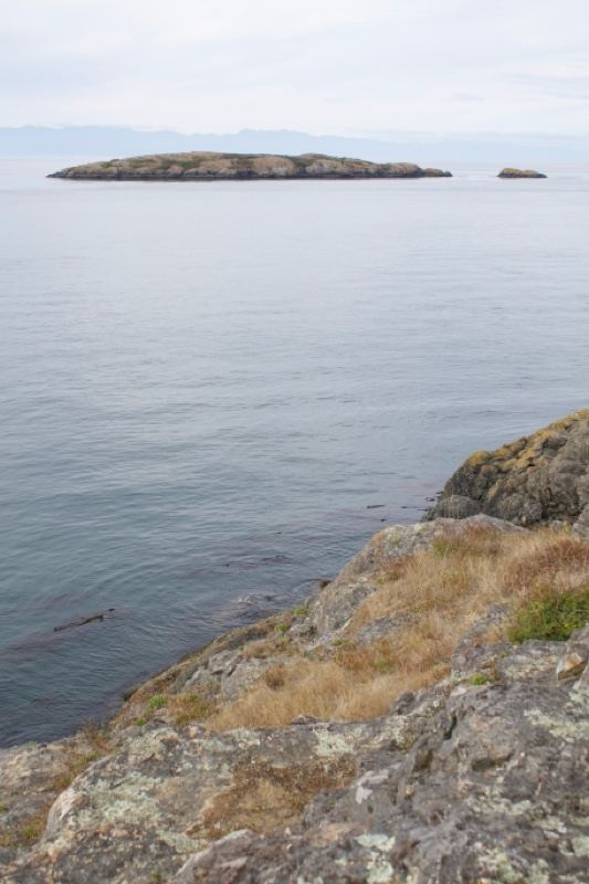 Rocky Coast with Distant Island