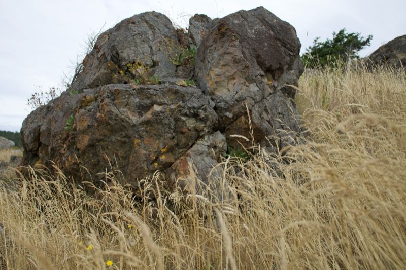 Large Rock Among Dry Grass