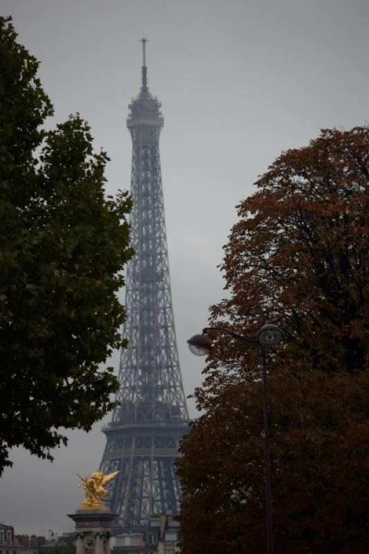 Eiffel Tower Through Autumn Trees Paris
