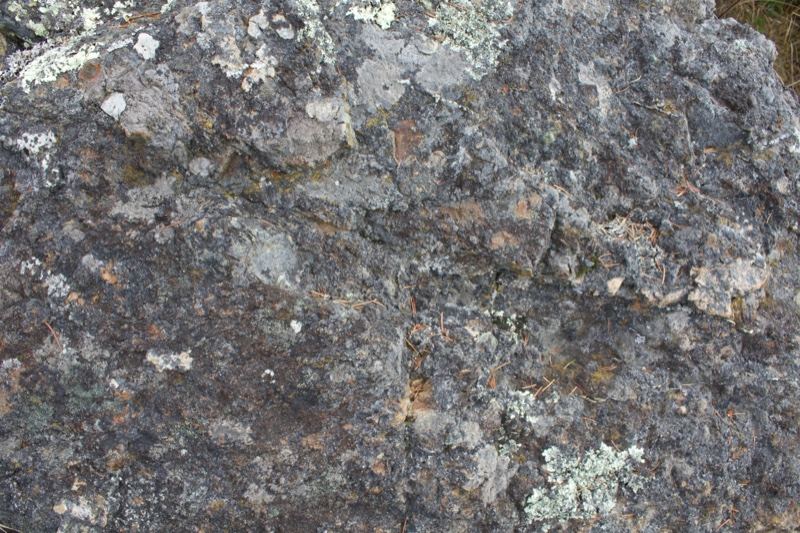 Weathered Rock with Lichen Texture