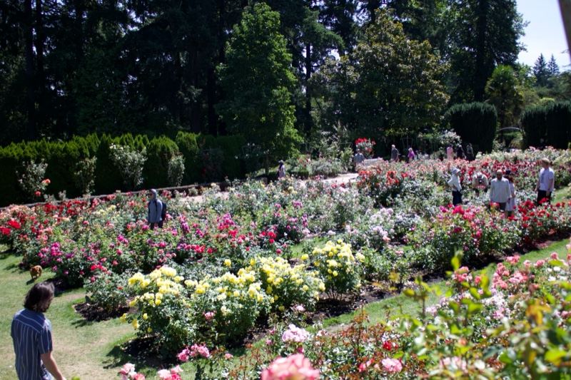 Rose Garden Park Visitors