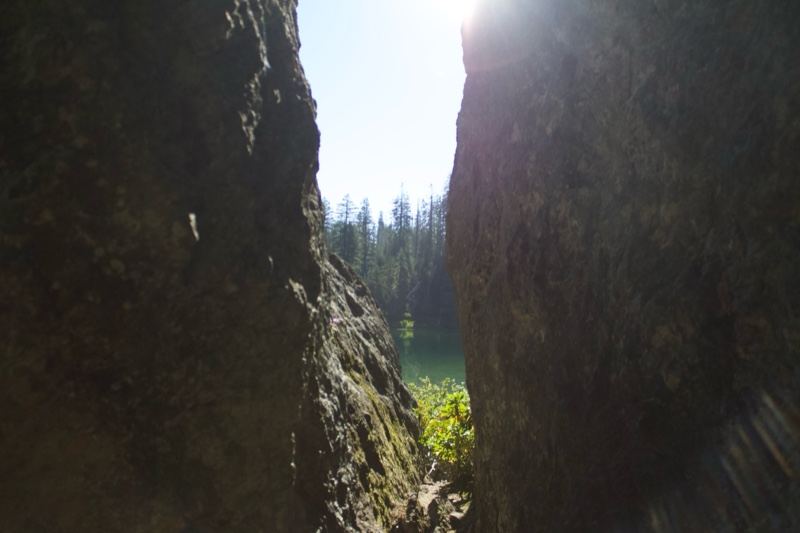 Rock Crevice View to Forest