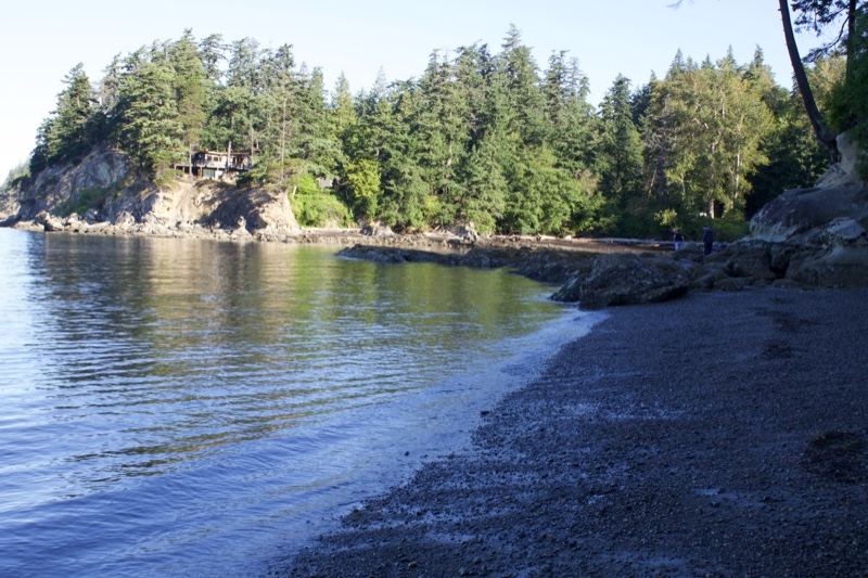Rocky Beach With Forested Shoreline