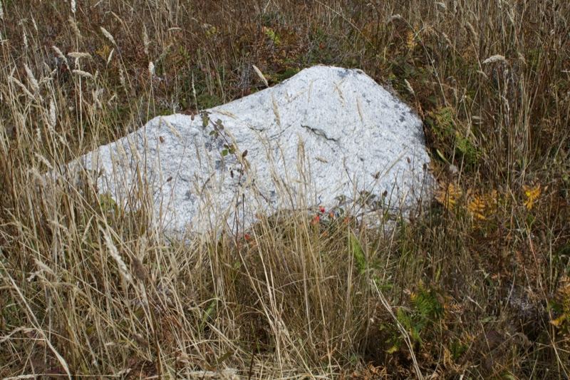 White Boulder in Tall Dry Grass