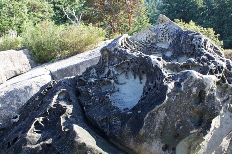 Honeycomb Weathered Coastal Rock Formation