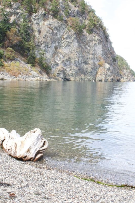 Driftwood on Pebble Shore Below Cliff
