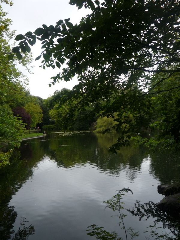 Tranquil Park Pond Under Trees