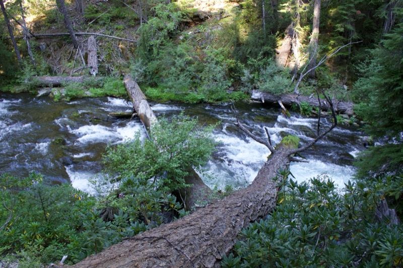 Mountain Stream With Fallen Tree
