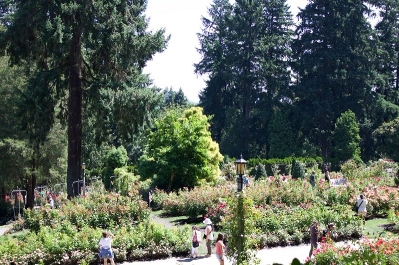 Rose Garden Park Visitors Summer Day