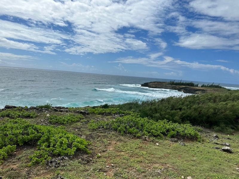 Coastal Grassland Overlooking Ocean