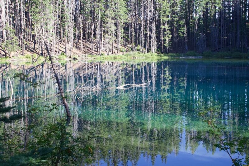Turquoise Forest Lake Reflection