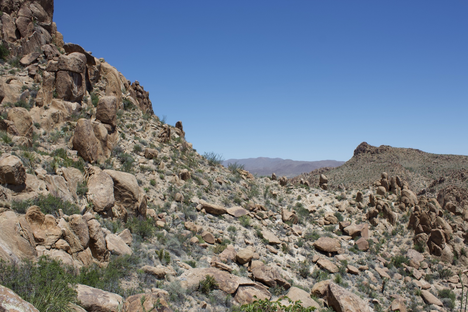 Arid Rocky Desert Canyon Landscape
