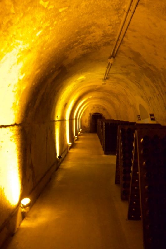 Underground Wine Cellar Tunnel
