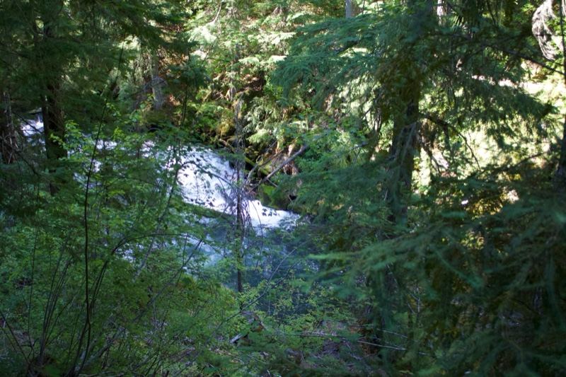 Forest View of Whitewater Stream