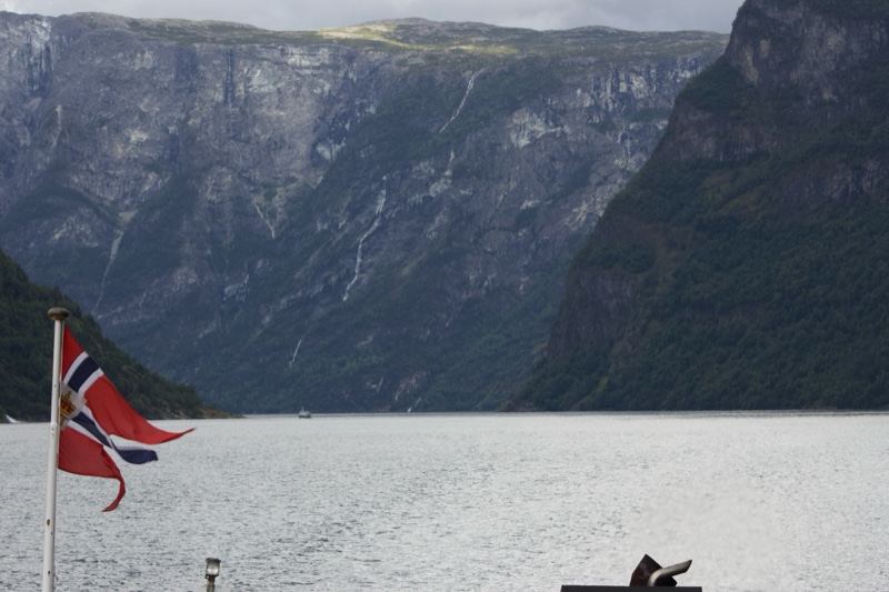 Norwegian Fjord with Flag