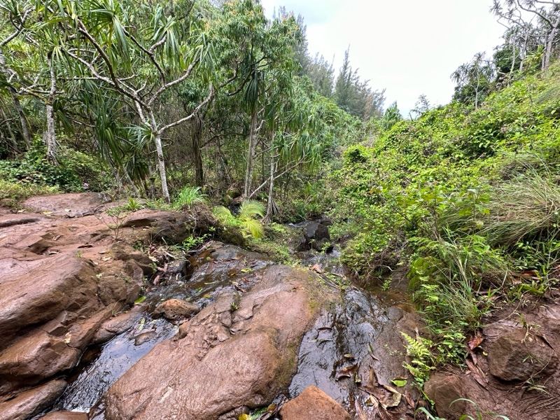 Tropical Stream Over Rocky Bed