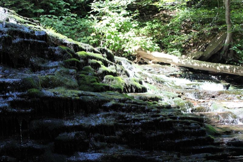 Mossy Forest Waterfall Cascade