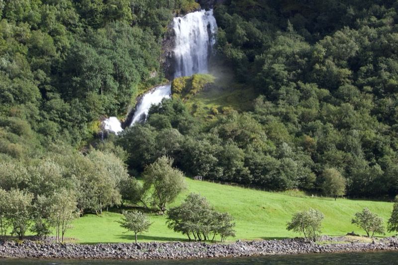 Waterfall Cascading Through Lush Forest