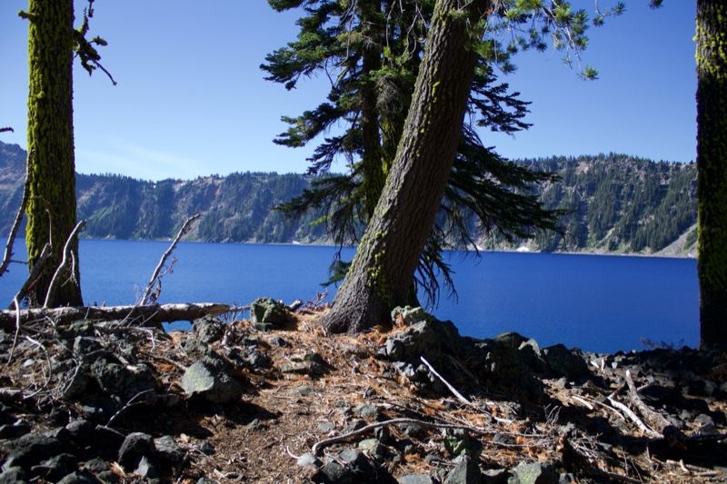 Crater Lake View from Forested Shore