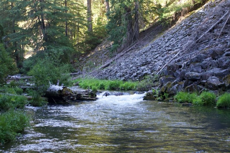 Mountain River Rapids Through Forest