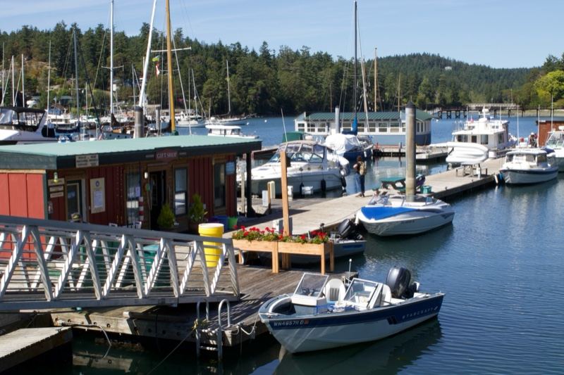 Marina Harbor with Boats and Dock