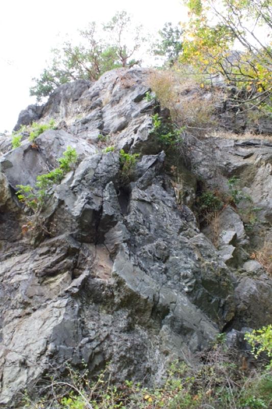 Rugged Rocky Cliff Face with Sparse Vegetation