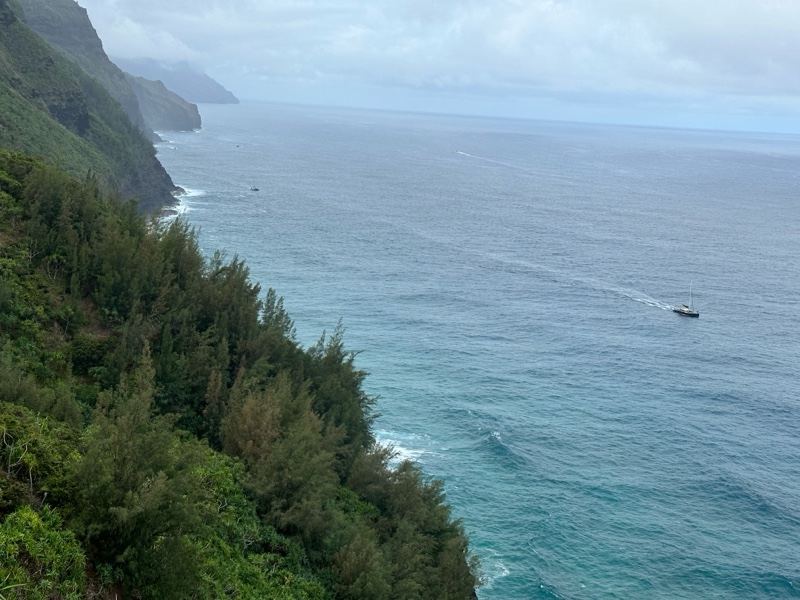 Coastal Cliffs Overlooking Pacific Ocean