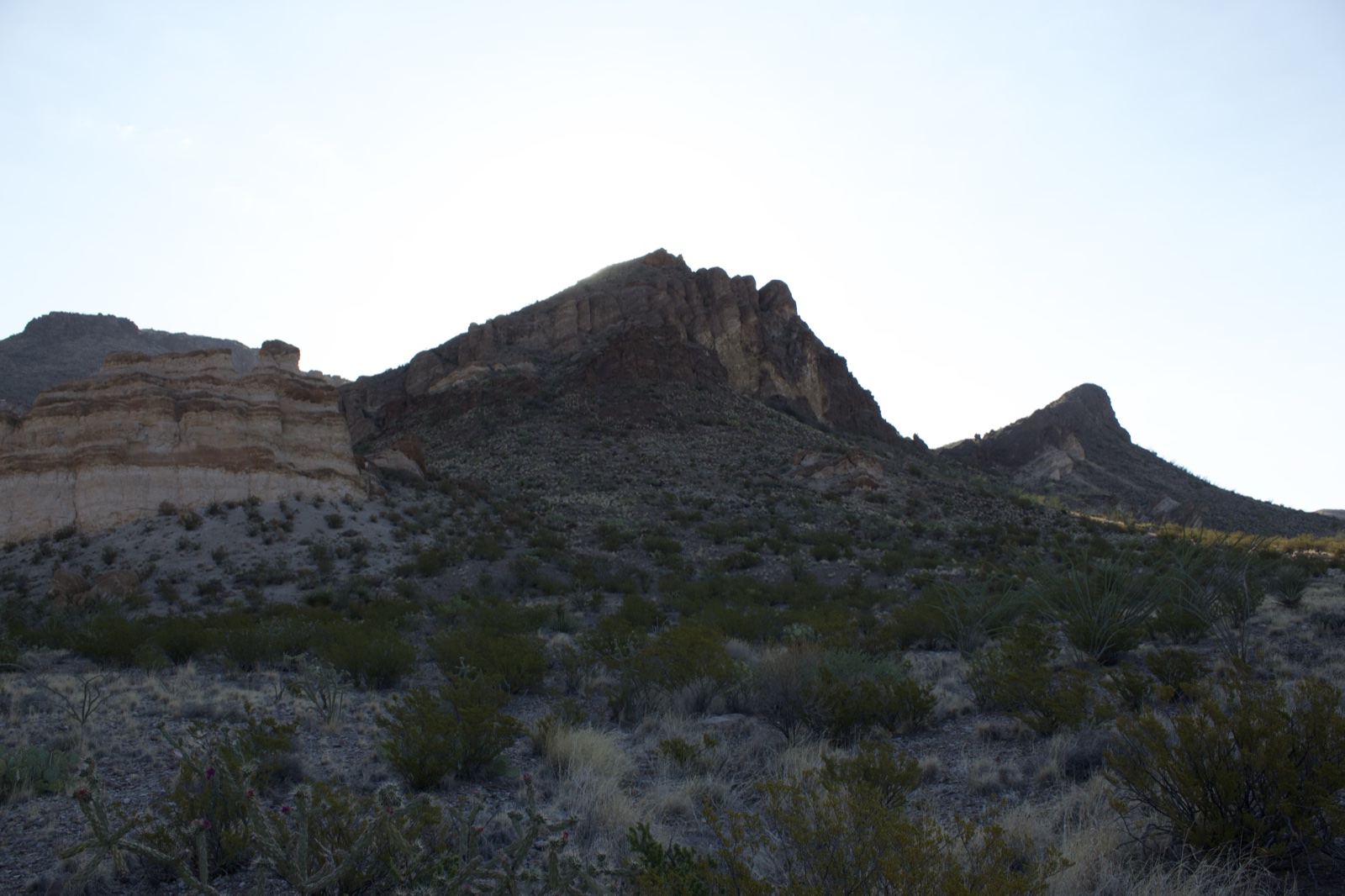 Desert mountain range at dusk