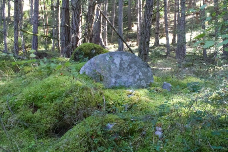 Mossy Boulder in Forest Clearing