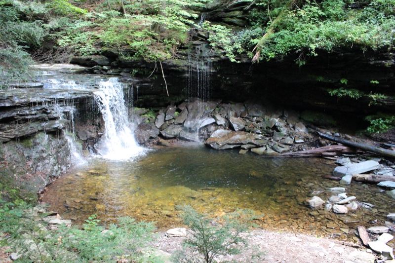 Forest Waterfall Cascading Into Pool