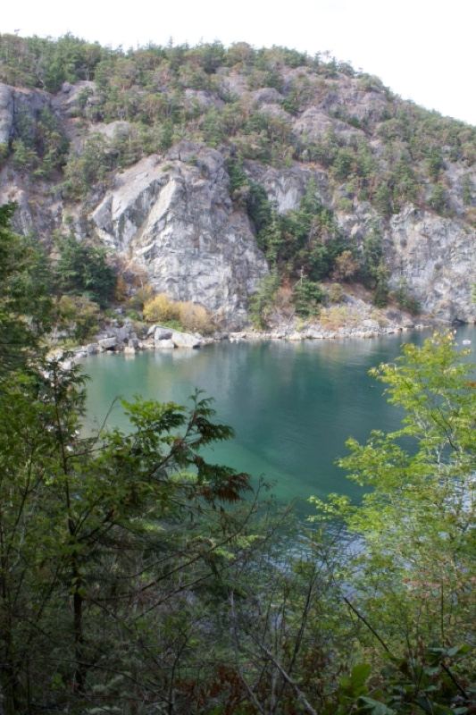 Mountain Lake Through Forest Framing