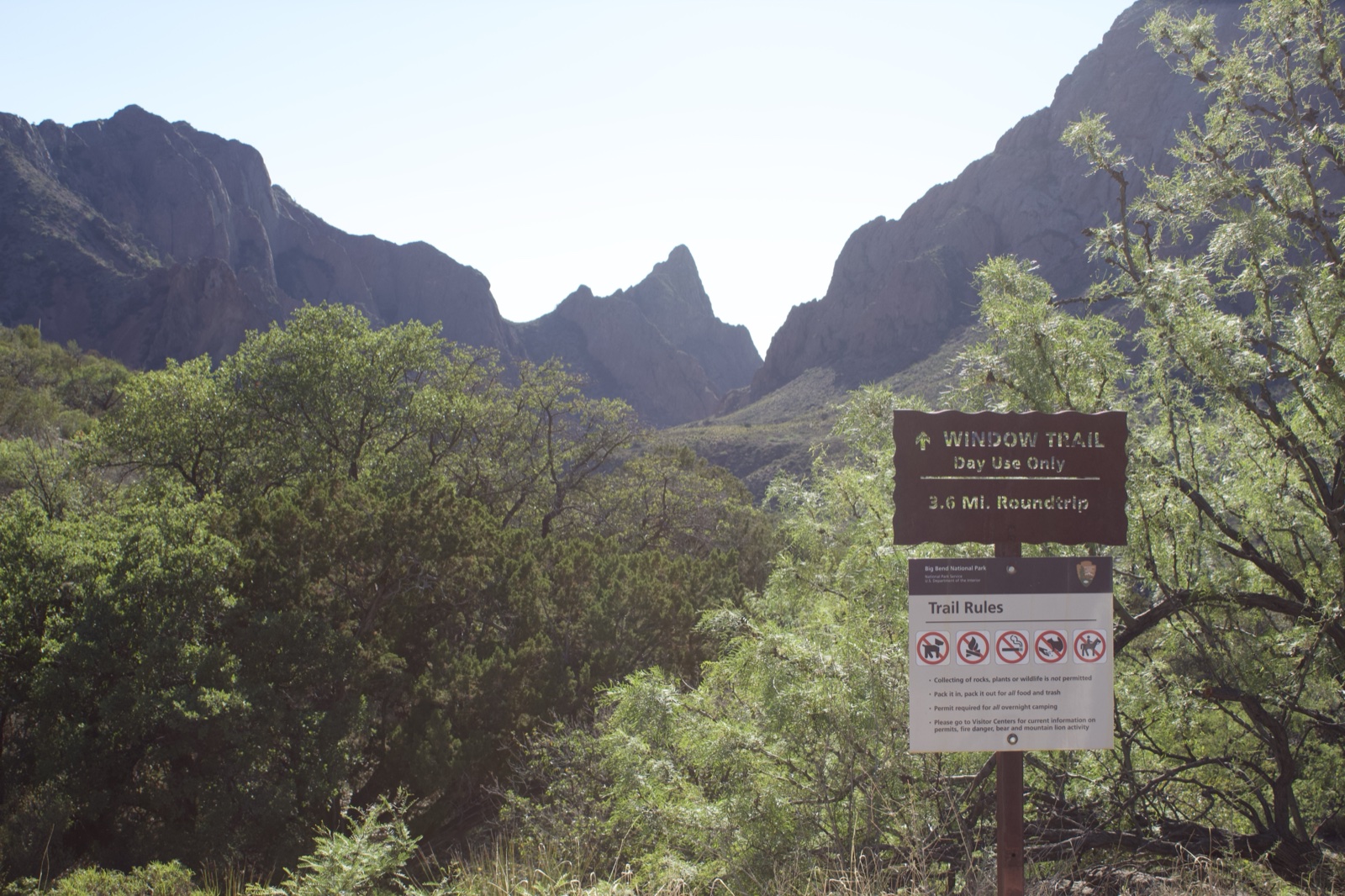 Wisdom Trailhead Sign in Mountains