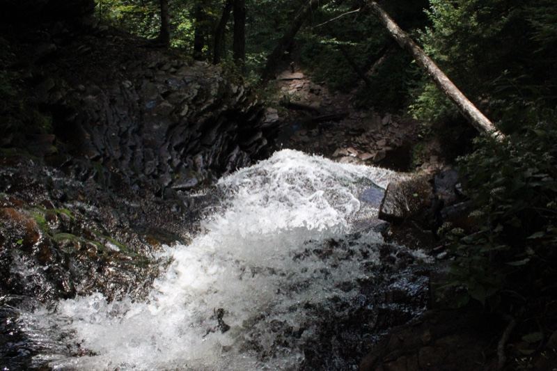 Forest Waterfall Cascading Over Rocks