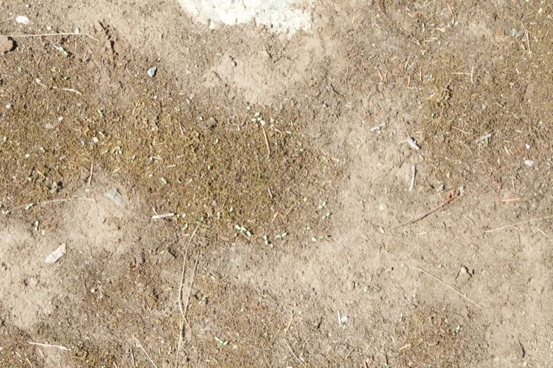 Dry Patchy Dirt Ground Texture