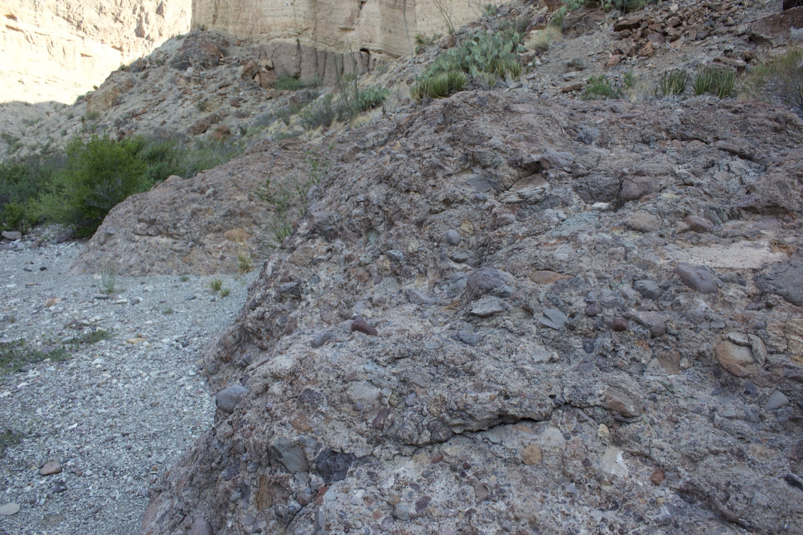 Desert Rock Formation in Arid Canyon