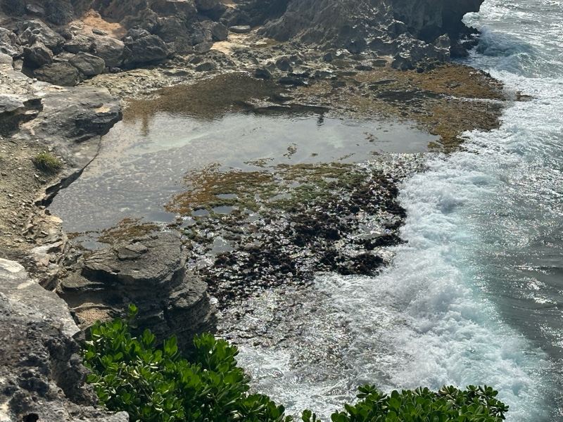 Rocky Coastal Tidal Pool With Waves