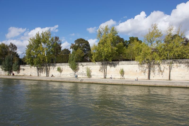 Riverbank Wall with Trees Under Blue Sky