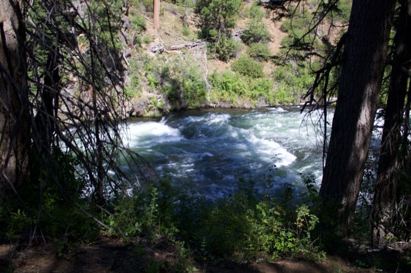 River Rapids Through Forest Canyon