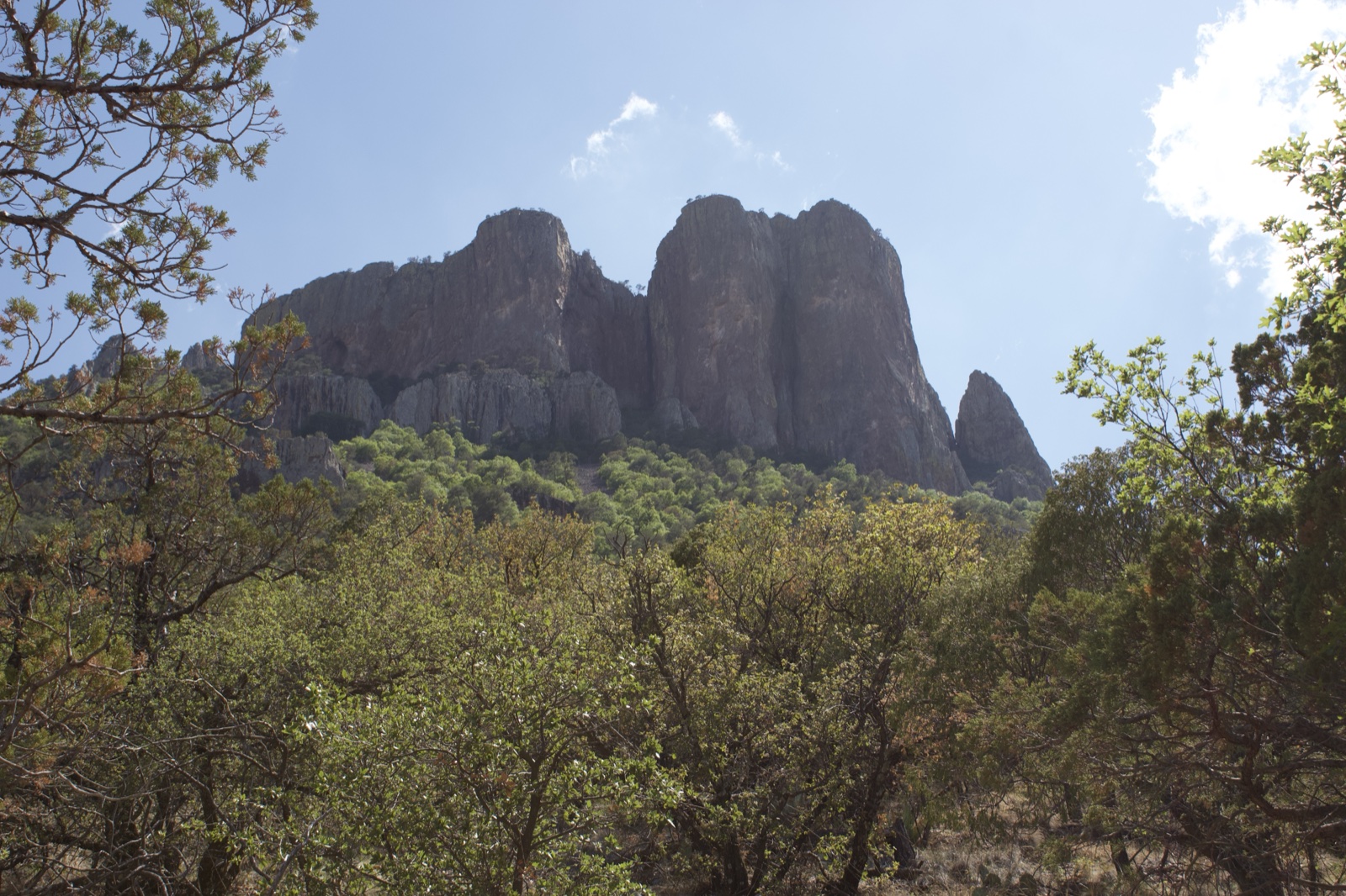 Rocky Peaks Over Green Forest