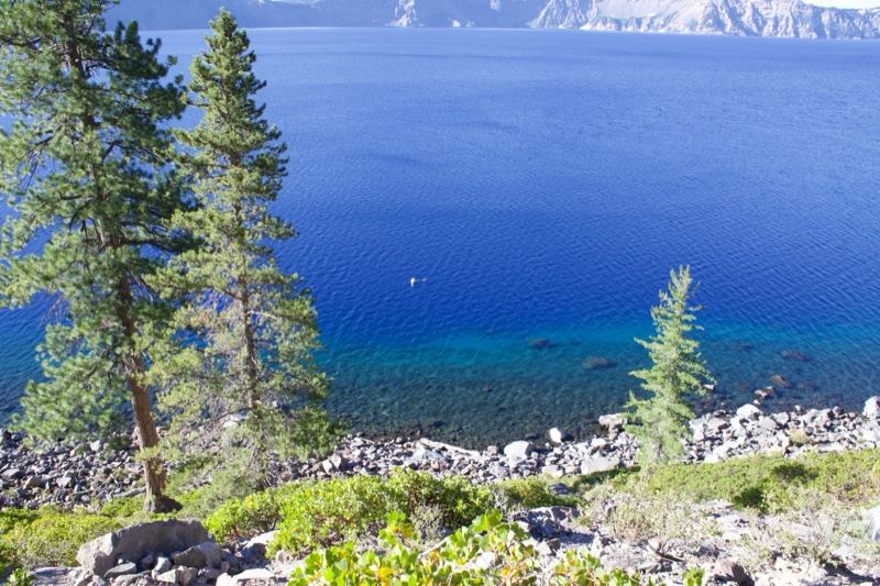 Deep Blue Lake with Pine Trees