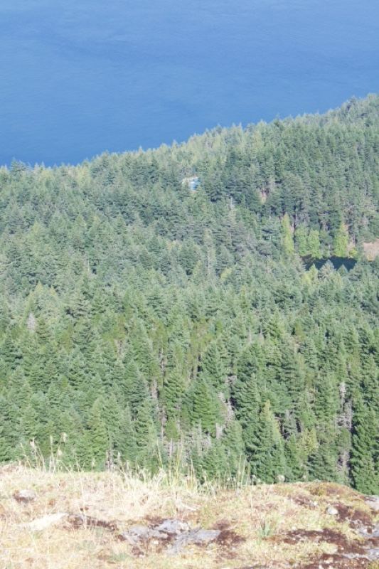 Forested hillside overlooking blue lake
