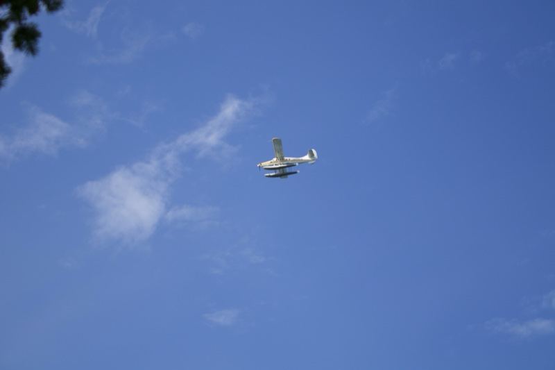 Seaplane Flying in Blue Sky