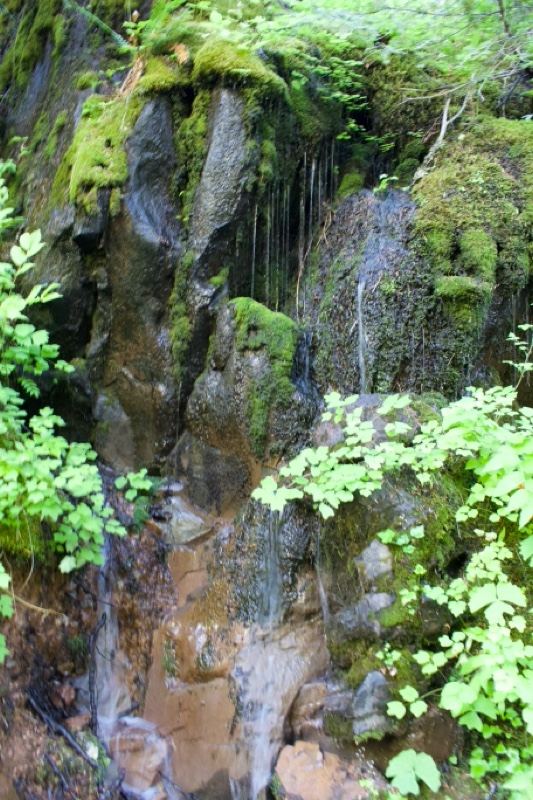 Mossy Rock Face With Small Waterfall