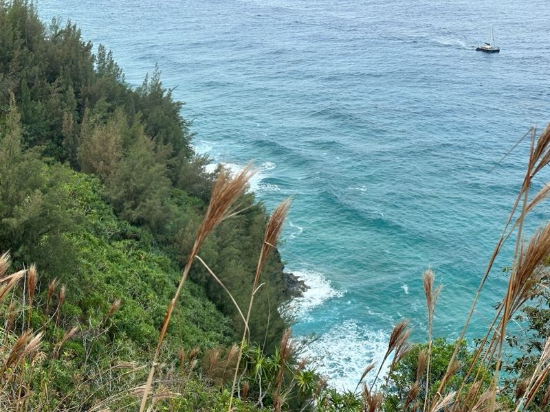 Coastal Cliff Overlooking Turquoise Ocean