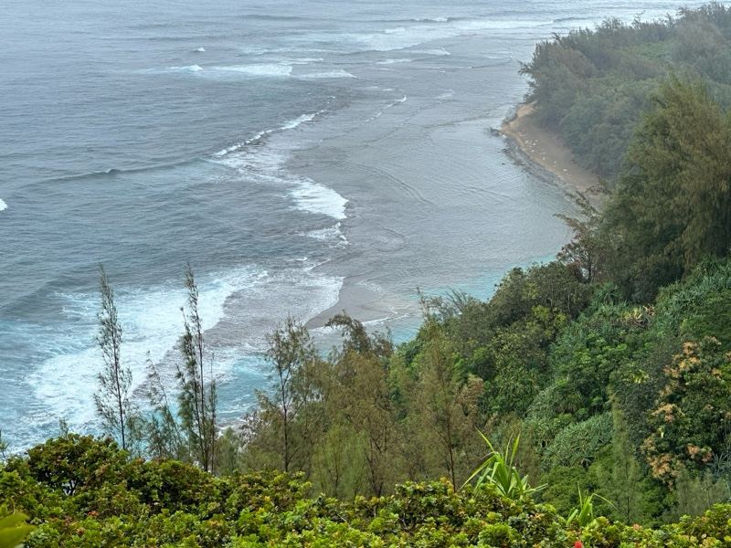 Coastal Cliff Overlooking Ocean Waves