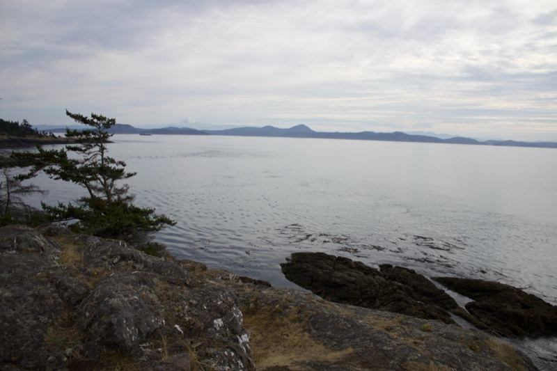 Coastal View Over Rocky Shoreline