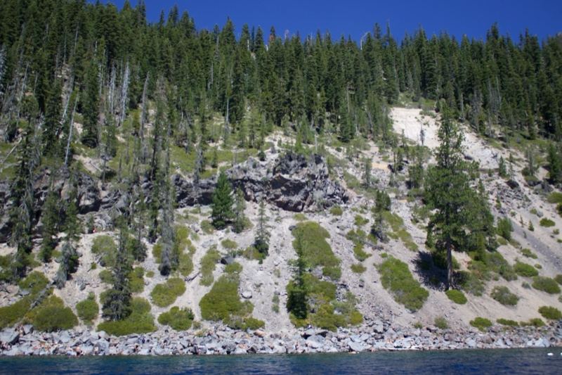 Forested Hillside Over Lake Shore