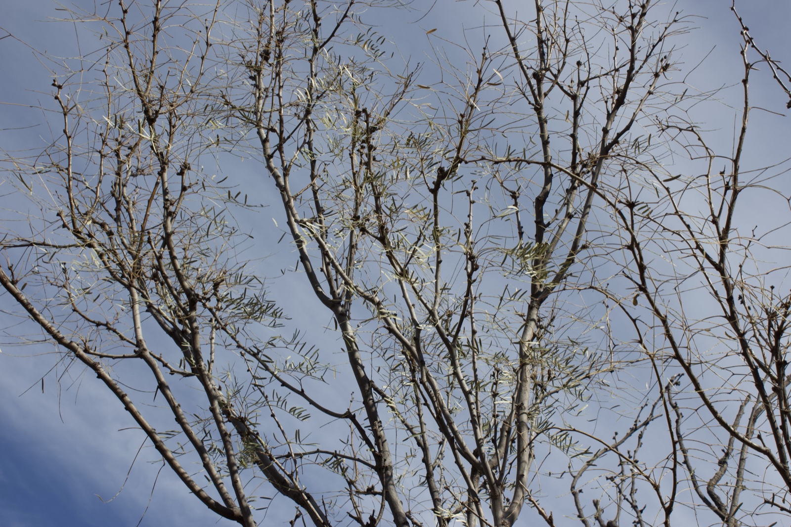 Untitled 5f653f76f7cb